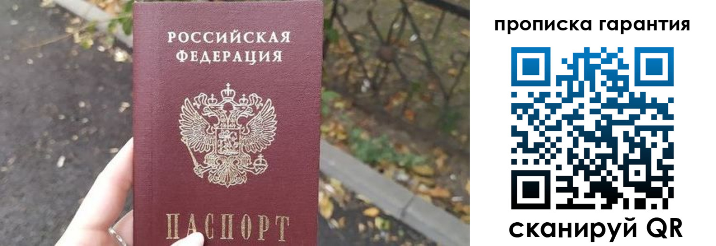где прописаться в Ленинградской области